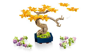 Mini Bonsai Trees