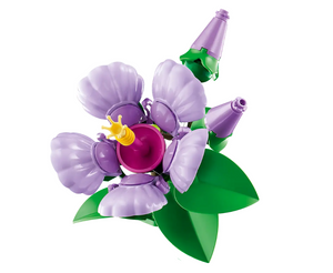 Hibiscus