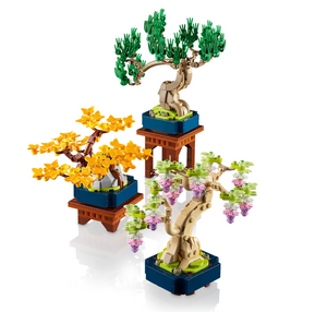 Mini Bonsai Trees
