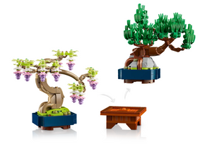 Mini Bonsai Trees