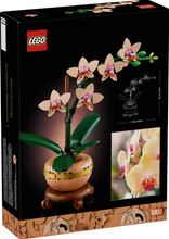 Load image into Gallery viewer, Mini Orchid
