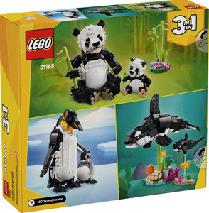 Wild Animals: Panda Family Creator 3-in-1