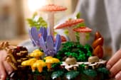 Load image into Gallery viewer, Woodland Mushrooms
