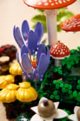 Load image into Gallery viewer, Woodland Mushrooms
