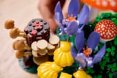 Load image into Gallery viewer, Woodland Mushrooms
