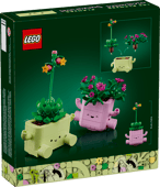 Load image into Gallery viewer, Rocking Plants
