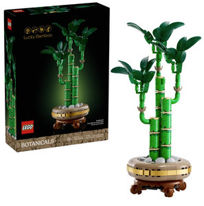 Lucky Bamboo