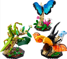 Load image into Gallery viewer, LEGO® Ideas The Insect Collection
