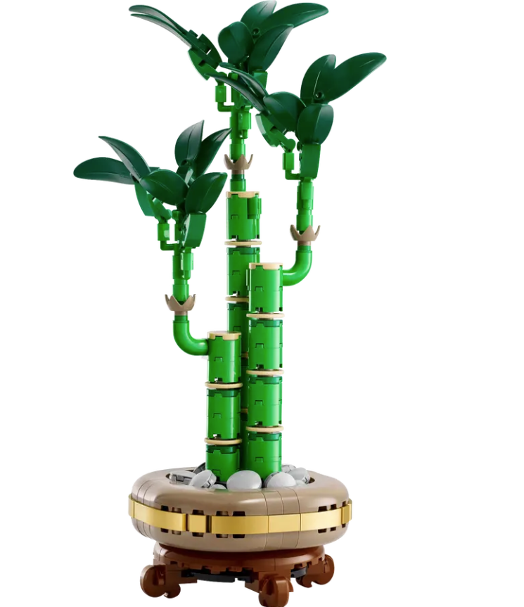 lucky bamboo los angeles Lucky Bamboo – LEGOLAND® California Resort Online Shop