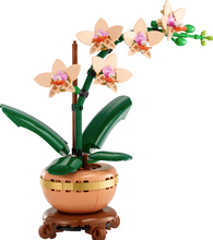 Load image into Gallery viewer, Mini Orchid
